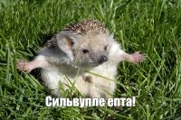 Эффектный приём российского борца