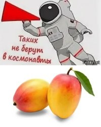 Кот-космонавт