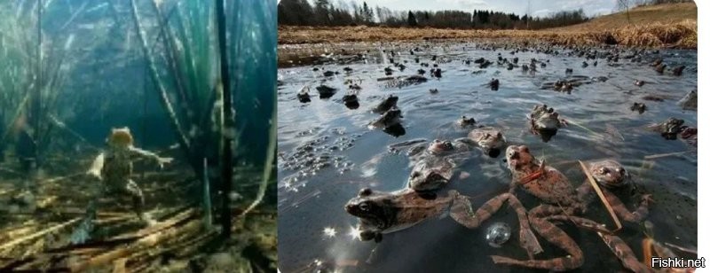 Занятие по фридайвингу в Китае