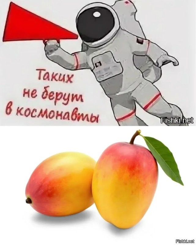 Кот-космонавт