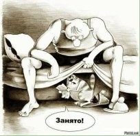 Кошка воспользовалась ямкой