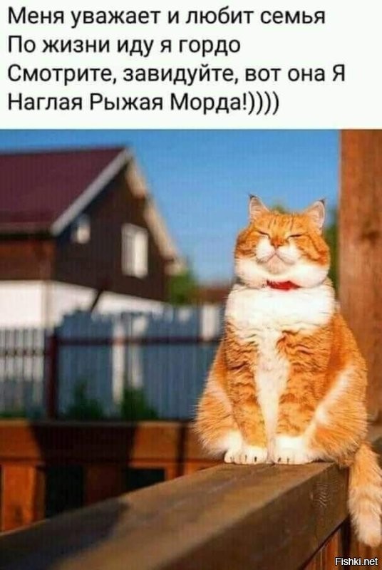 Доброго утра