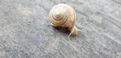 У чувака прозвище "Молния"