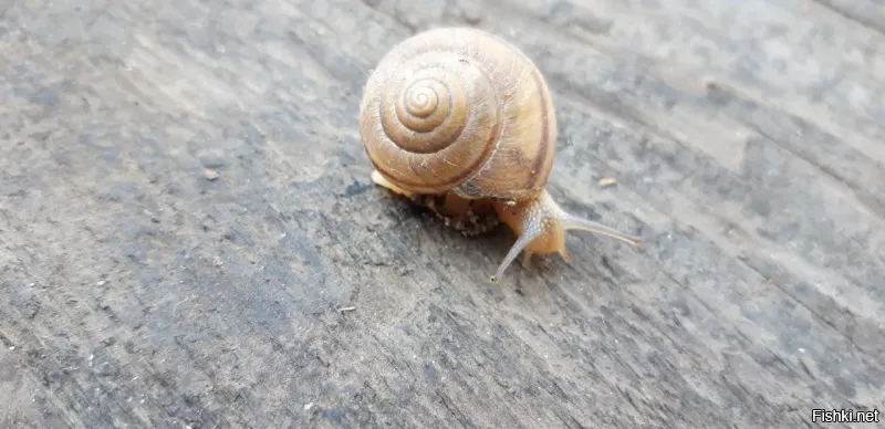 У чувака прозвище "Молния"