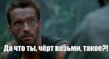 Скрины из соцсетей