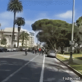 Просто гифки, всякие и&nbsp;разные