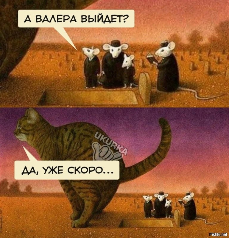 Солянка от 12.03.2026
