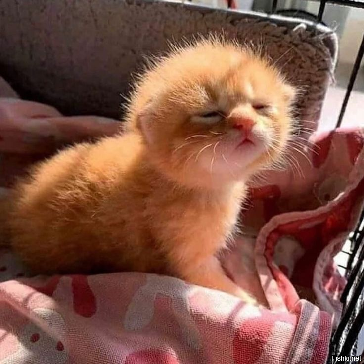 Когда впереди целая солнечно-ражая жизнь )