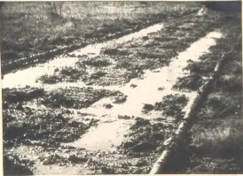 Отличный комментарий !!!
Отличный !!!
Искренне !!!