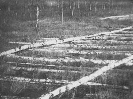 Отличный комментарий !!!
Отличный !!!
Искренне !!!