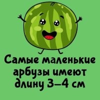Крыжовник что ли?