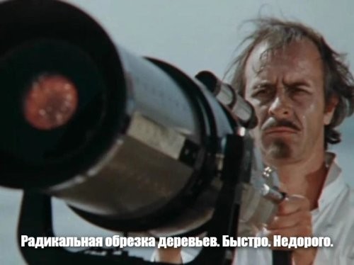 В Китае деревья теперь «стригут» лазерным лучом с дистанции