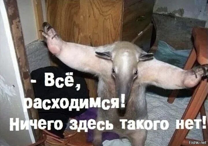 Солянка от 13.03.2026