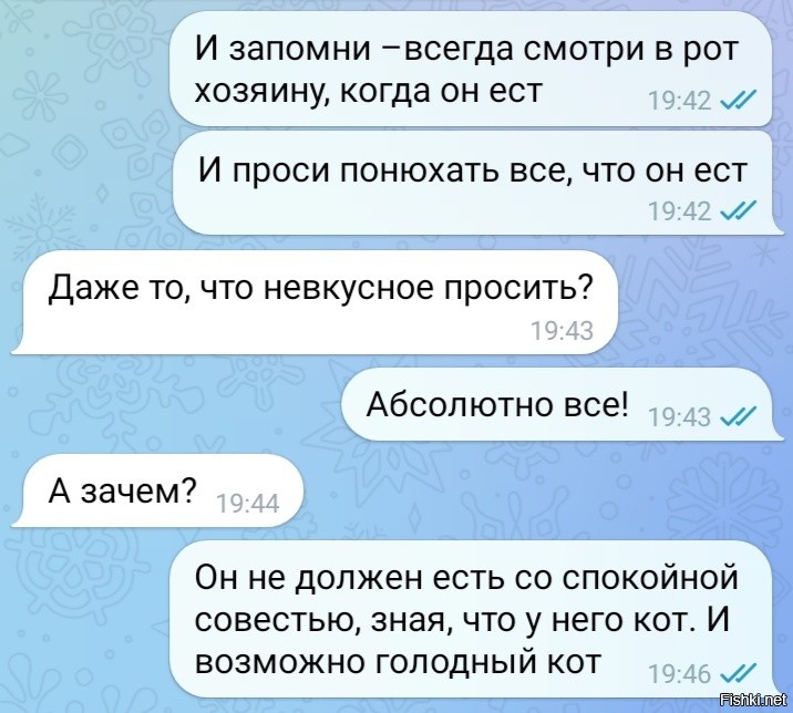 Солянка от 13.03.2026