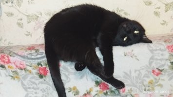 У меня свой взгляд на всё!