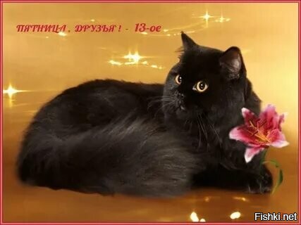 Доброго утра