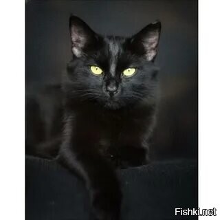 Доброе утро