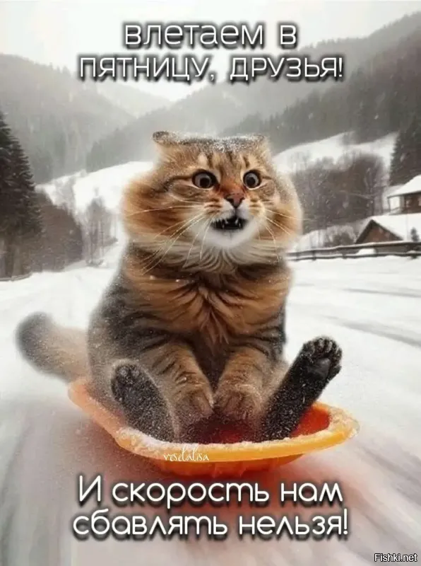 Доброго утра