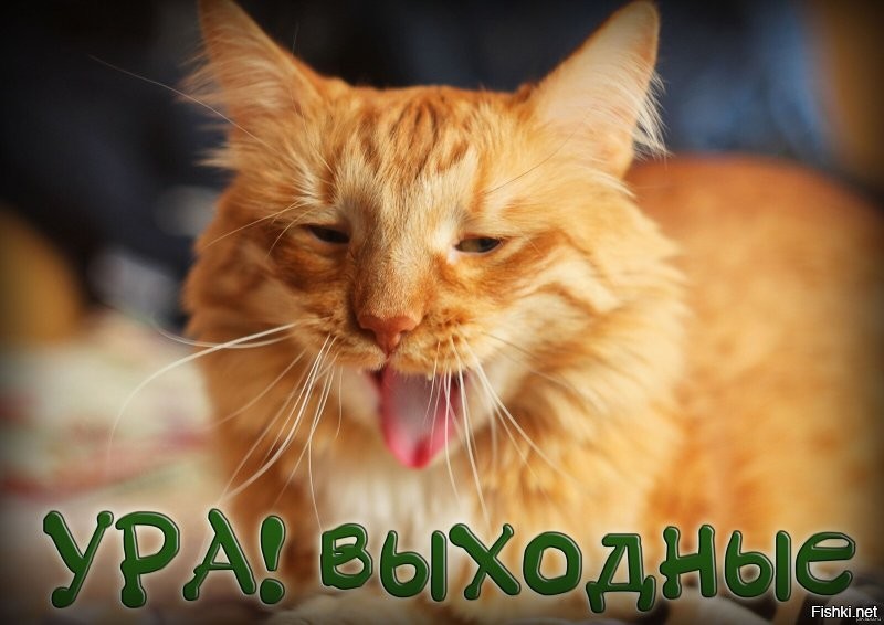 Доброго утра