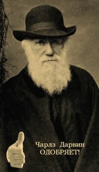 «Огнедышащий трюк» с праздничным тортом стал причиной ожогов