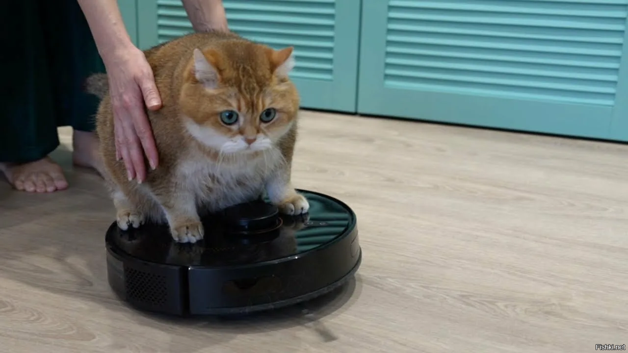 С помощниками веселее )