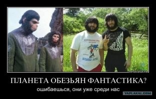 Какой мост, вы о чем вообще, мы уже давно повернули обратно. Скоро люди вымрут, останутся только эти. Жить в дерьме и пользовать остатки цивилизаций.