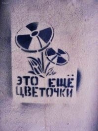«Не знаю, что удивительнее: продавцы или покупатели» — дачники массово скупают «нейро-ягоды»
