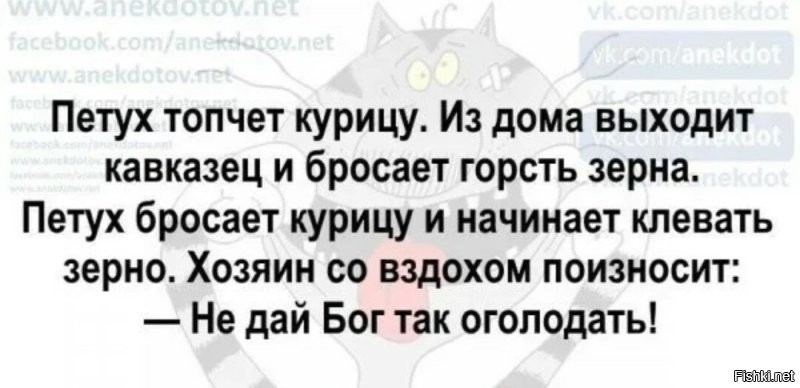 Просто гифки, всякие и&nbsp;разные