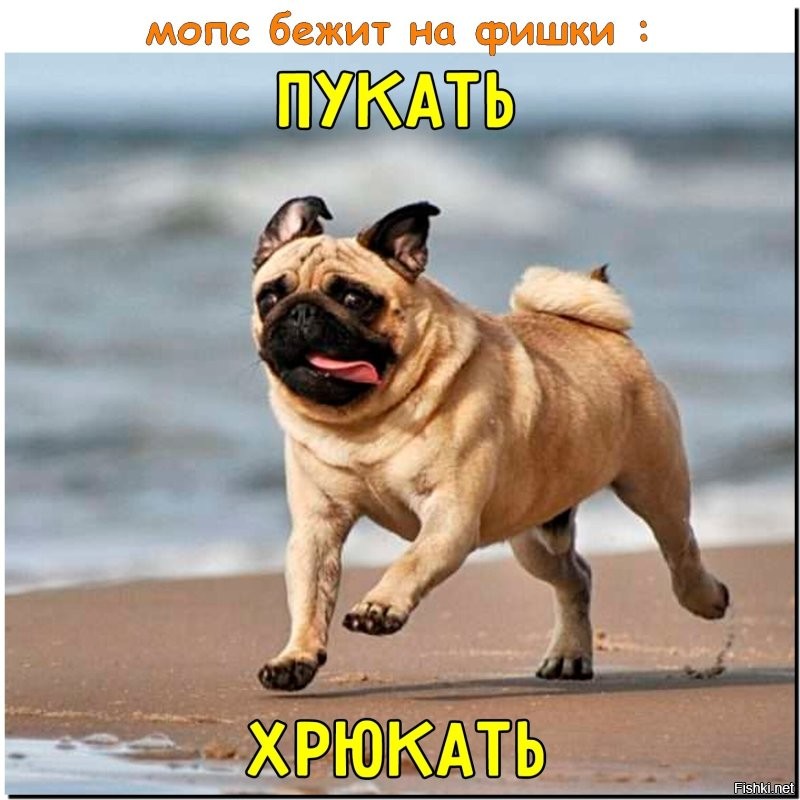 Солянка от 12.03.2026