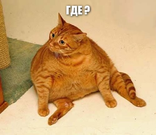 Солянка от 13.03.2026