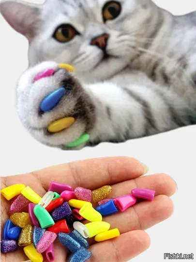 Полностью согласен с автором