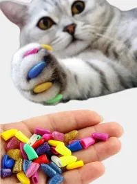 Полностью согласен с автором