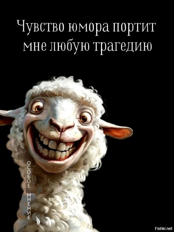 Солянка от 14.03.2026