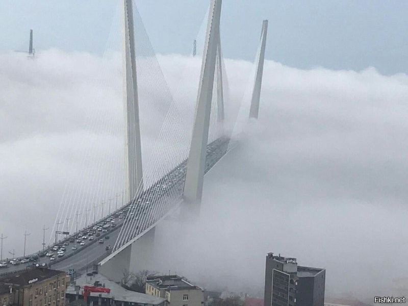Мост через бухту Золотой Рог. Вдалеке пилоны моста на остров Русский. г. Владивосток.