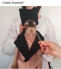 Настоящий хохол растёт!