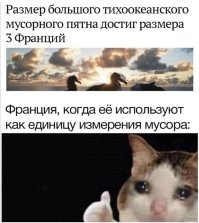 45 000 тонн пластика: инженеры пытаются разгрести мусор из океана