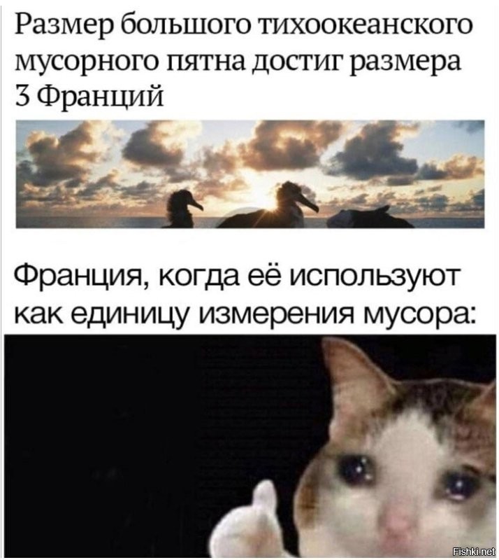 45 000 тонн пластика: инженеры пытаются разгрести мусор из океана