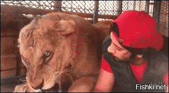 Просто гифки, всякие и&nbsp;разные