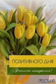 С добрым утром