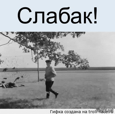 Политическая солянка. Часть 364
