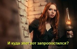 Кот Василий