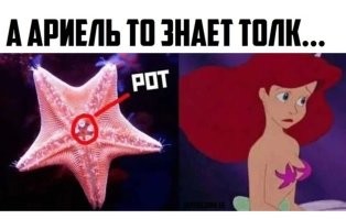 Просто гифки, всякие и&nbsp;разные