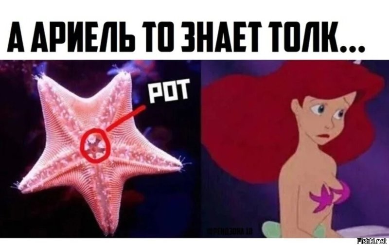 Просто гифки, всякие и&nbsp;разные