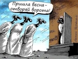 В Москве пьяная женщина ломала зеркала машин