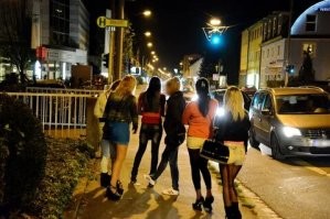 29. Ночные бабочки облюбовали для себя подходящее местечко