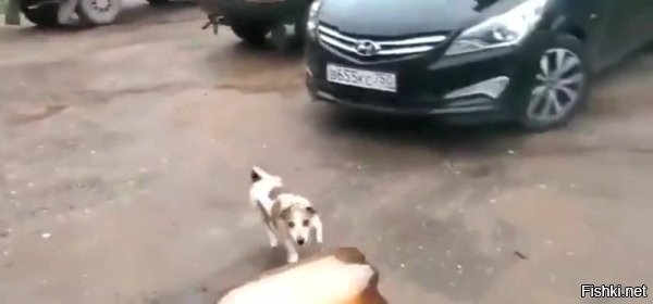 Надо им другую бутылку дать...