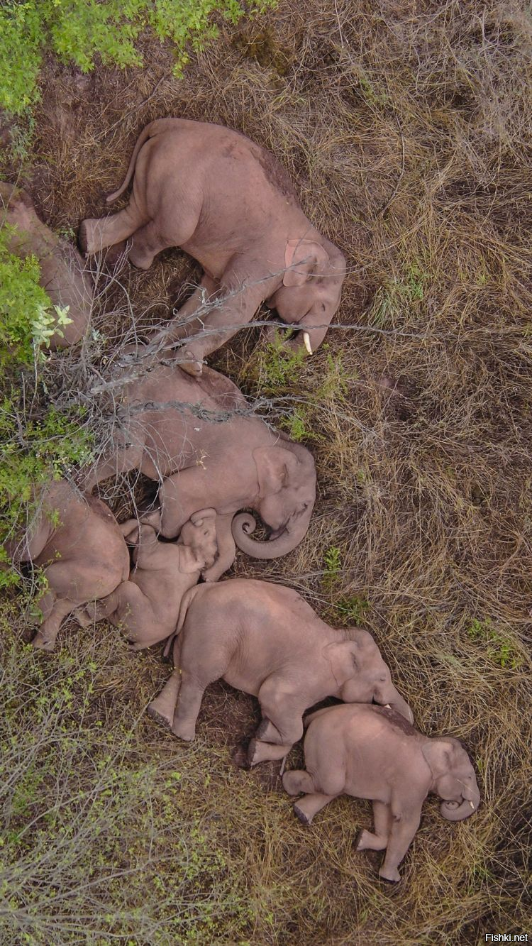 А вдруг ты не знал…