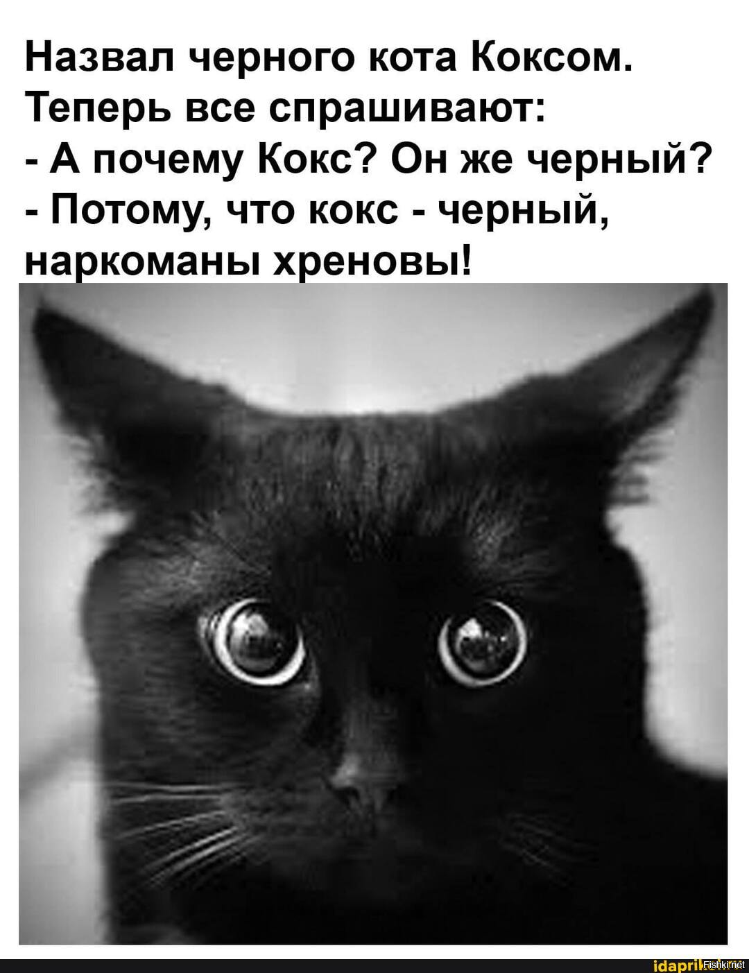 Снежок