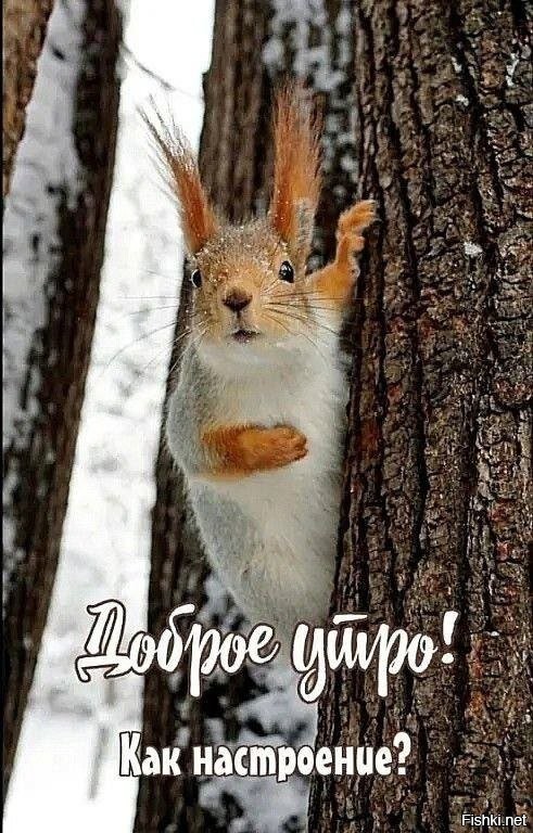 Доброго утра