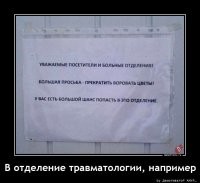 Позитивные демотиваторы